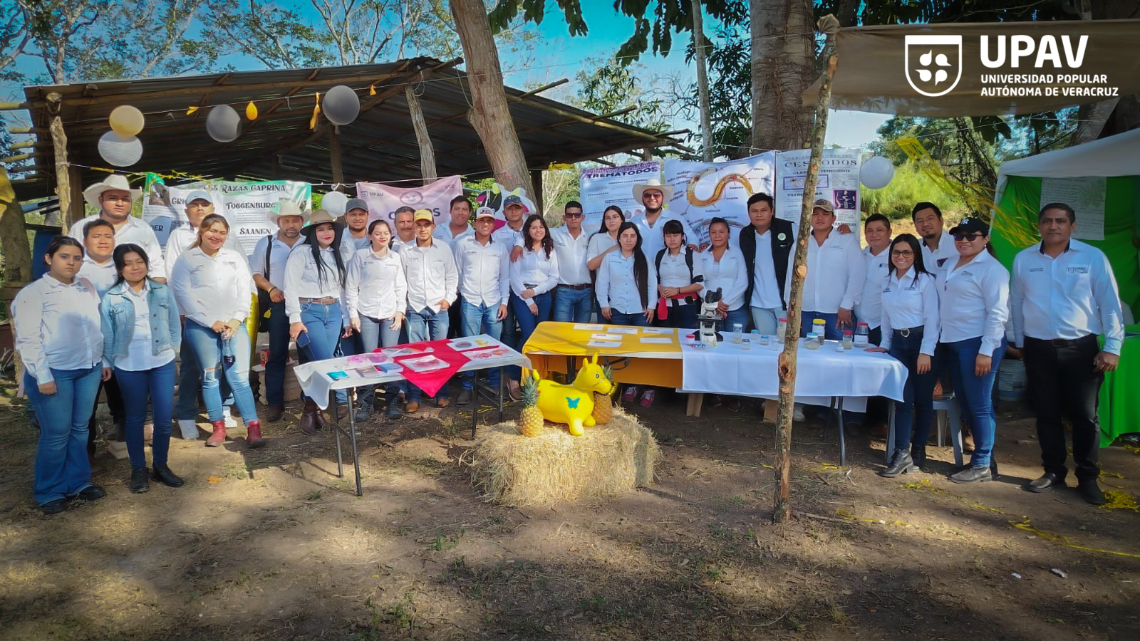 Presentación de proyectos agropecuarios: Licenciatura en Medicina Veterinaria y Zootecnia sede Sayula de Alemán