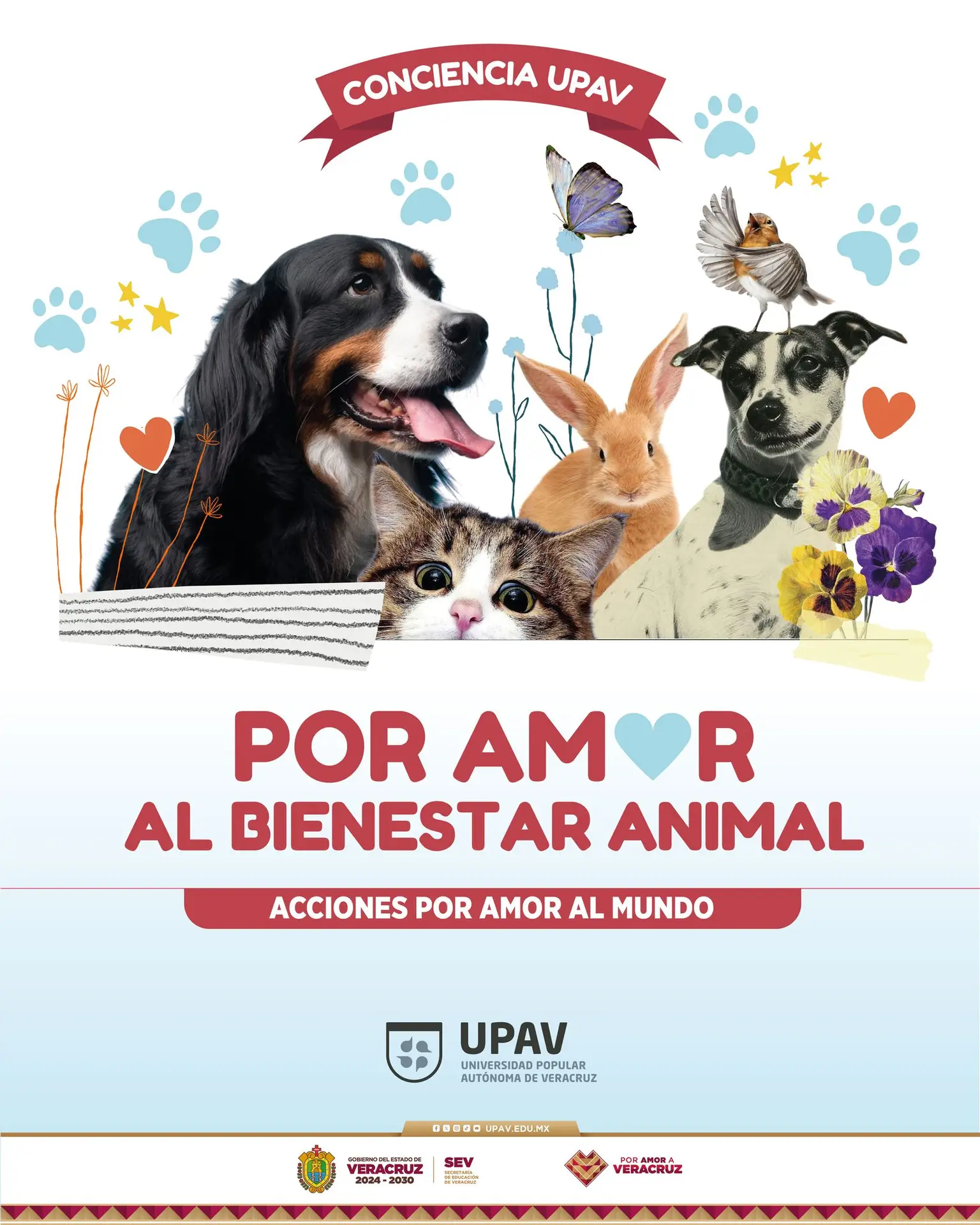 La comunidad UPAV y Xalapa se unen en solidaridad por el bienestar animal
